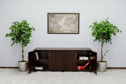 Кабинет руководителя ФОРТЕ / FORTE фото 4